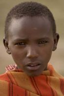 Masai herder, Masa Mara